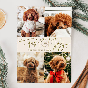 Funny Fur Real Jog Dog Foto Weihnachten Weihnachte