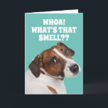 Funny Furz riecht Hund für den Geburtstag der alte Karte<br><div class="desc">Niedlicher Heinz57 Hund,  der sich den Kopf herumwirbelt,  um zu sehen,  woher "der Geruch" kommt. Öffnen Sie die Karte und erfahren Sie...  Oh! Es ist die "ALTE FURZ",  die die Karte hält! Eine niedliche/lustige Karte für jeden Typ,  der jetzt eine alte Furz ist. Keine Achtung für ältere Menschen. :P</div>