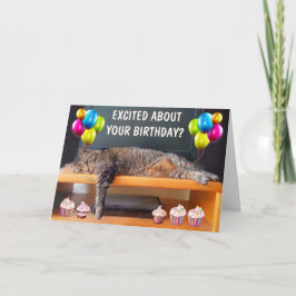 Funny gelangweilte Katze Geburtstag geklappte Gruß Karte