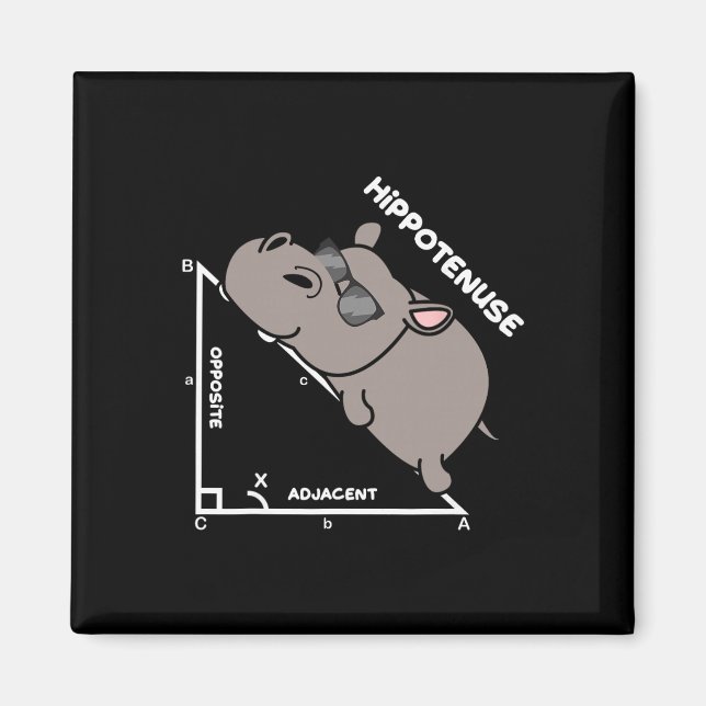Funny Geometry Hypotenuse Math Mathematics Teacher Magnet (Vorne)
