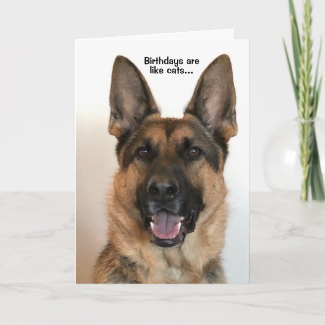 Funny German Shepherd Birthday Card Karte (Vorderseite)