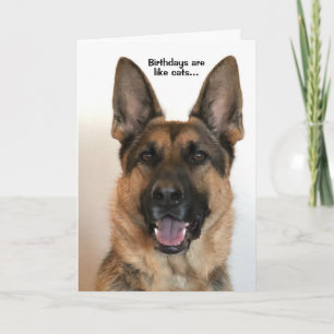 Funny German Shepherd Birthday Card Karte
