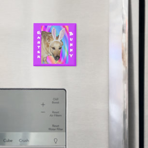 Funny German Shepherd Dog & Ostersonnige Ohren Magnet