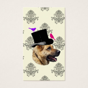 Funny German shepherdog