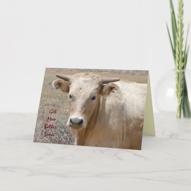 Funny Get Well - Cute White Cow - Ranch or Farm Karte (Vorderseite)