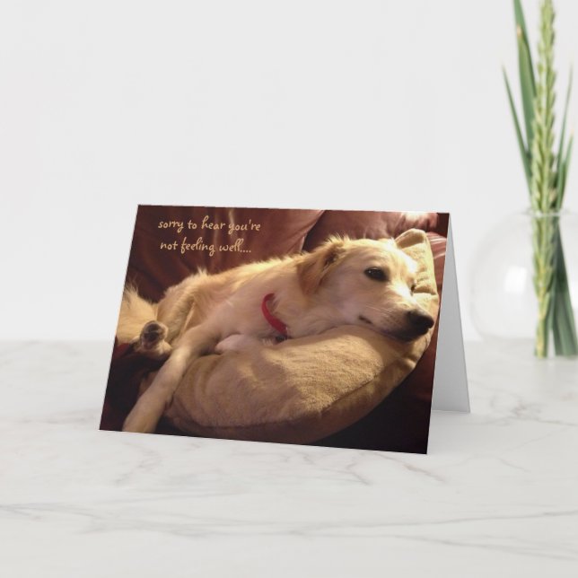 Funny Get Well, Niedlich Sleeping Hund Träume Karte (Vorderseite)