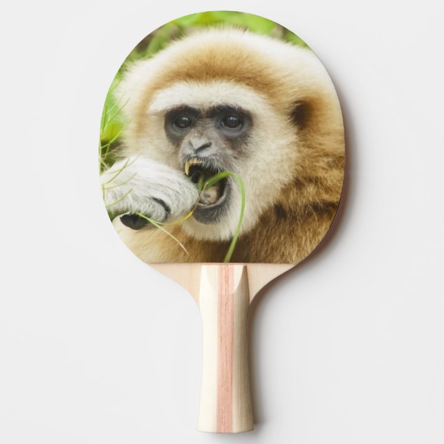 Funny Gibbon Animal Foto Tischtennis Schläger (Vorderseite)