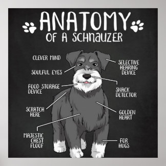 Funny Gift Anatomie eines Schnauzers Poster