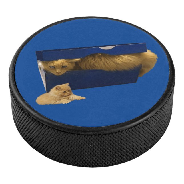 Funny Ginger Cat in einer Showbox, Hockey Puck (3/4)