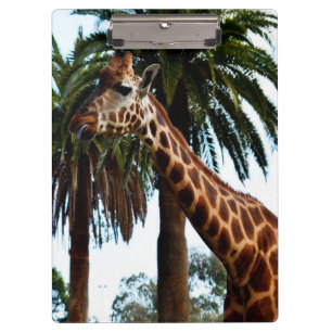 Funny Giraffe, der eine Himbeere gibt, Klemmbrett