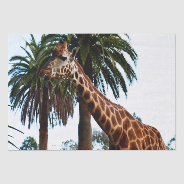 Funny Giraffe, der eine Himbeere gibt, Seidenpapier (Vorderseite)