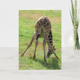 Funny Giraffe Grußkarte (innen leer) Karte