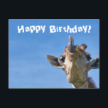 Funny Giraffe Happy Birthday Postkarte<br><div class="desc">Dieses Design enthält ein lustiges und dennoch niedliches Bild einer Giraffe! Ideal für besondere Anlass wie Jubiläen,  Geburtstage und mehr. Wenn Sie das Design durch Ändern der Nachricht oder des Schriftartes personalisieren möchten,  klicken Sie auf "Design bearbeiten".</div>
