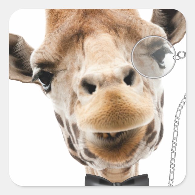 Funny Giraffe mit Bowtie und Monocle Quadratischer Aufkleber (Vorderseite)