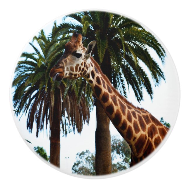 Funny Giraffe Poking Out Tongue, Keramikknauf (Vorderseite)