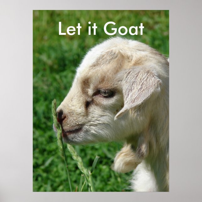 Funny Goat Parody, Niedliches Ziegenkid Poster (Vorne)