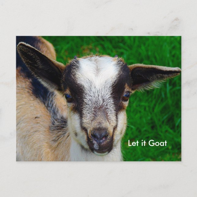 Funny Goat Parody Postcard Postkarte (Vorderseite)