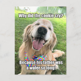 Funny Golden Retriever Cookie Joke Meme Postcard Postkarte