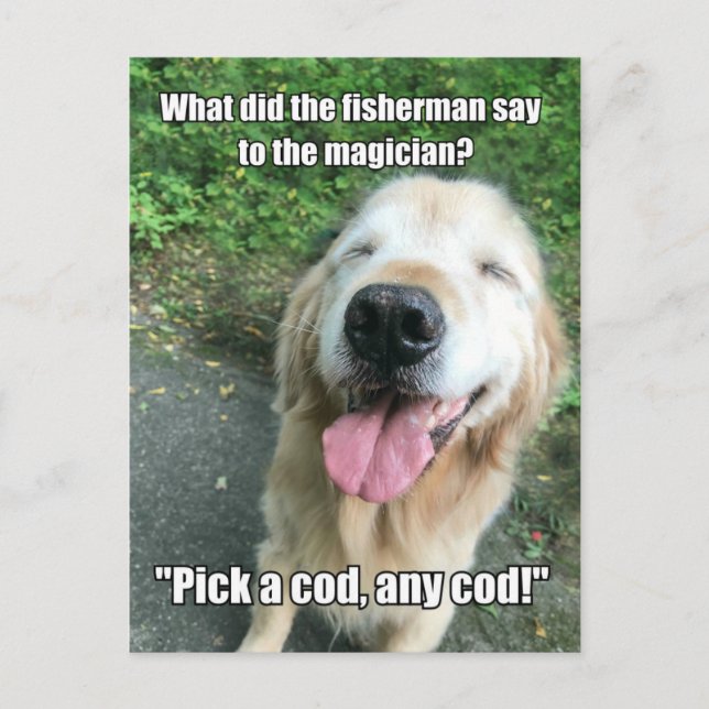 Funny Golden Retriever Fisherman Joke Meme Postkarte (Vorderseite)