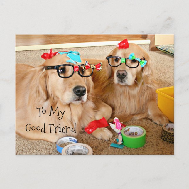 Funny Golden Retriever Freundschaftskarte Postkarte (Vorderseite)