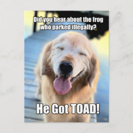 Funny Golden Retriever Frosch Joke Meme Postkarte