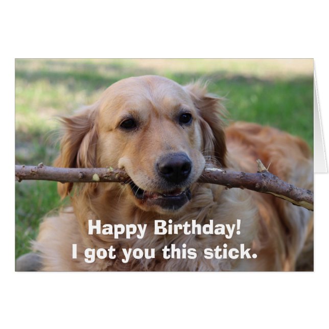 Funny Golden Retriever Hunde Humor Happy Birthday (Vorderseite (Horizontal))