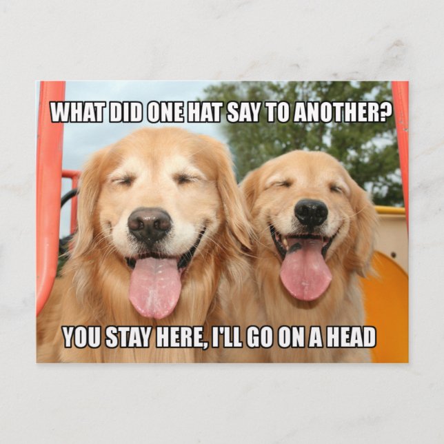 Funny Golden Retriever Joke Meme Postkarte (Vorderseite)