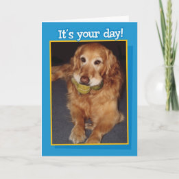 Funny Golden Retriever mit Balls Birthday Card Karte