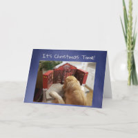 Funny Golden Retriever mit Leckereien Adventskalen