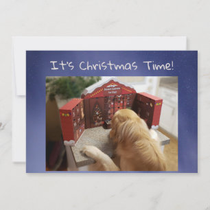 Funny Golden Retriever mit Leckereien Weihnachten