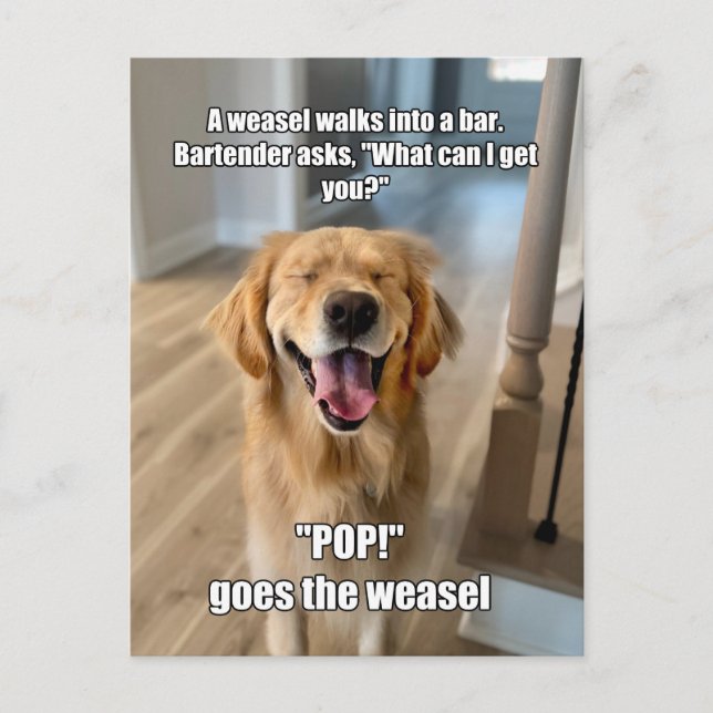 Funny Golden Retriever Weasel Barkeeper Joke Meme Postkarte (Vorderseite)