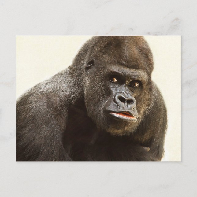 Funny Gorilla Postkarte (Vorderseite)