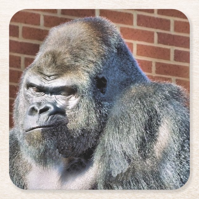 FUNNY GORILLA RECHTECKIGER PAPPUNTERSETZER (Vorderseite)