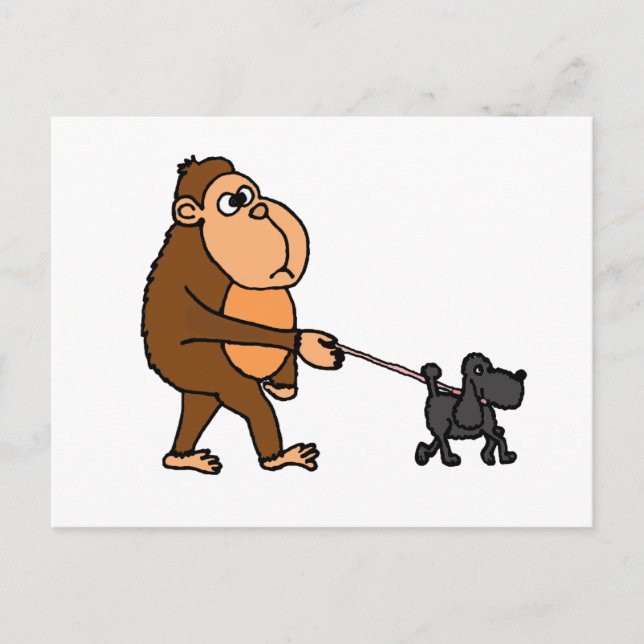 Funny Gorilla Walking Black Poodle Dog Postkarte (Vorderseite)