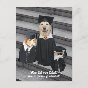 Funny Graduation personnalisable Faire-part Postca