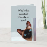 Funny Grandson Birthday wünscht Siamese Cat Karte<br><div class="desc">Funny Grandson Birthday wünscht Siam Cat Animal Spaß Sie auf.   Perfekt für diesen Grandson in Ihrem Leben mit einem Gefühl des Spaßes,  einer Liebe von Katzen und einem Geburtstag</div>