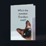 Funny Grandson Birthday wünscht Siamese Cat Karte<br><div class="desc">Funny Grandson Birthday wünscht Siam Cat Animal Spaß Sie auf.   Perfekt für diesen Grandson in Ihrem Leben mit einem Gefühl des Spaßes,  einer Liebe von Katzen und einem Geburtstag</div>