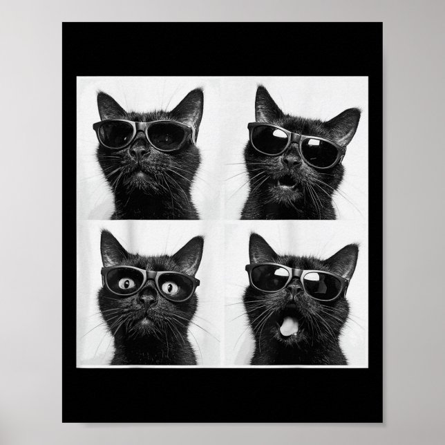 Funny Graphic Cat Fotobooth Selfie Funny _5 Poster (Vorne)