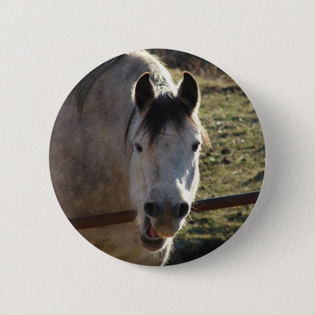 Funny Gray Mare Button (Vorderseite)
