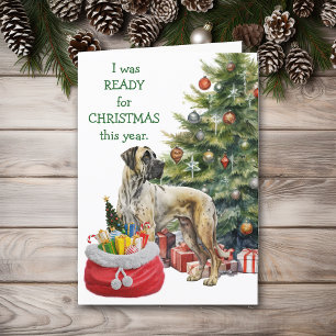 Funny Great Dane Dog Bereit zu Weihnachten