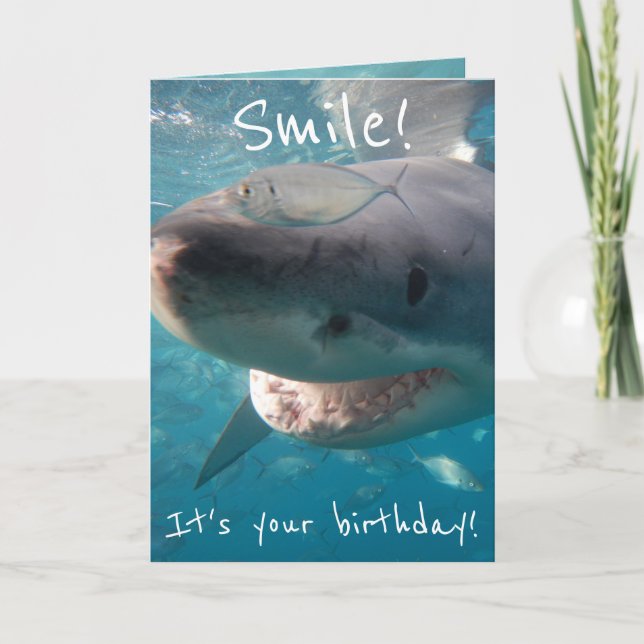 Funny Great White Shark Geburtstag Karte (Vorderseite)