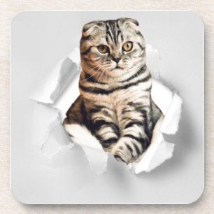 Funny Grey Cat Popping Through Torn Paper Illusion Getränkeuntersetzer