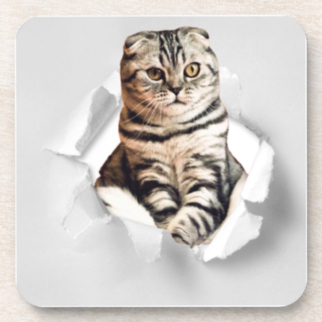 Funny Grey Cat Popping Through Torn Paper Illusion Getränkeuntersetzer (Vorderseite)