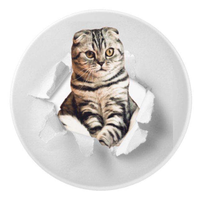 Funny Grey Cat Popping Through Torn Paper Illusion Keramikknauf (Vorderseite)