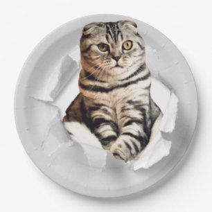 Funny Grey Cat Popping Through Torn Paper Illusion Pappteller