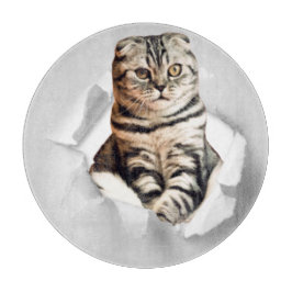 Funny Grey Cat Popping Through Torn Paper Illusion Schneidebrett