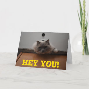 Funny Greycard Karte