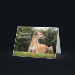 Funny Greyhound Dog Birthday Karte<br><div class="desc">Das ist ein lustiges Geburtstagskartendesign mit einem fotografischen Bild eines goldenen Windhundes,  der mit geschlossenen Augen von der Kamera wegschaut! Der Text auf der Karte lautet: "Wenn du versuchst,  deinen Hund dazu zu bringen,  die Kamera zum Geburtstag zu lächeln!" Design und Fotografie von Natalie Kinnear</div>