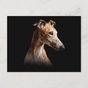 Funny Greyhound Face Greyhound Smile Greyhound Feiertagspostkarte