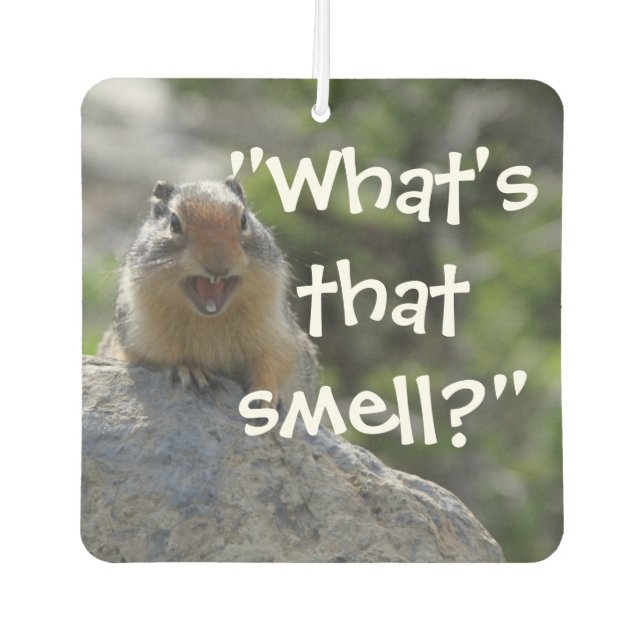 Funny Ground Squirrel Autolufterfrischer (Vorderseite)